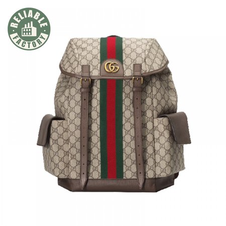 Gucci Ophidia Gg Backpack - GBP107