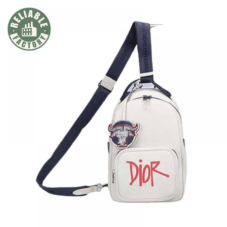 DIOR SLING BAG