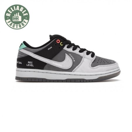 Dunk Low SB 'Camcorder' Men's