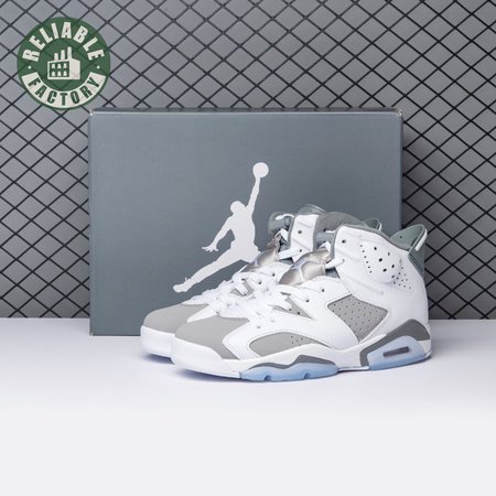 Air Jordan 6 Cool Grey CT8529-100 Men's